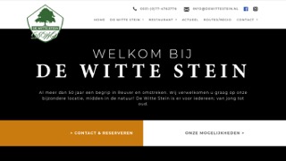 dewittestein.nl