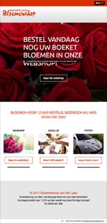 www.bloemenshopvanderlaan.nl