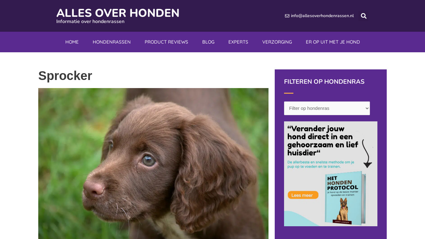 www.allesoverhondenrassen.nl/hondenrassen/sprocker