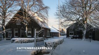 www.cattenbroekseplas.nl