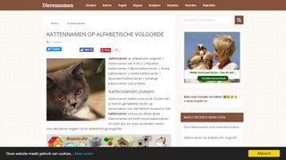 www.dierennamen.net/kattennamen-op-alfabetische-volgorde/