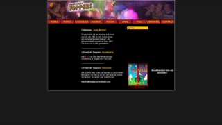 www.feestcafetoppers.nl