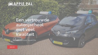 www.haaljerijbewijsin10dagen.nl