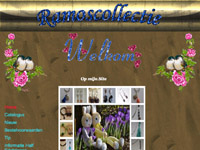 www.ramoscollectie.nl