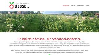 www.schoonoordsebessen.nl