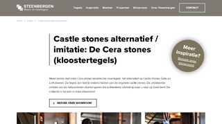 www.steenbergentegels.nl/tegels/castle-stones-alternatief-imitatie