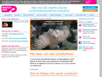 wakkerdier.nl/vee-industrie/kalkoenen